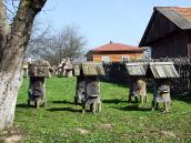 Загальний вигляд з півдня