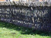 2013 р. Східний пліт саду