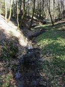 2013 р. Струмок у лісі