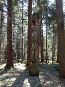 2013 р. Загальний вигляд з півночі