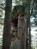 Голова Прометея