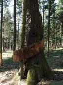 2013 р. Табличка з написом