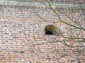 Вікно 2-го ярусу (верхнє)