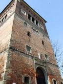 Верхні яруси