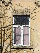 2013 р. Сецесійне вікно 2-го поверху