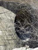 Кругле вікно вівтаря