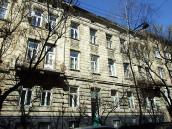 2013 р. Загальний вигляд