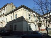 2013 р. Загальний вигляд