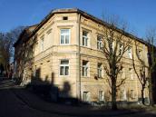 2013 р. Загальний вигляд