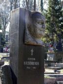 Бюст П. Козланюка