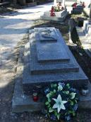 2013 р. Загальний вигляд