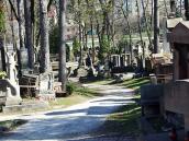 2013 р. Алея поля 59