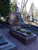 2013 р. Загальний вигляд