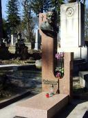 2013 р. Загальний вигляд