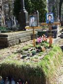 2013 р. Загальний вигляд