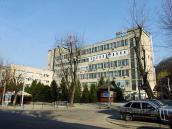 2013 р. Загальний вигляд