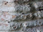 Світла плінфа в муруванні проходу…