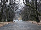 Алея від верхньої брами до…