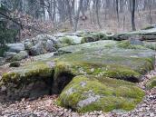 2015 р. Фрагмент