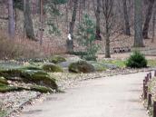 2015 р. Алея на тлі бюста Платона