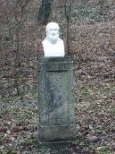 2015 р. Загальний вигляд анфас