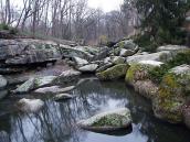 2015 р. Верхів’я Нижнього ставка