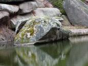 2015 р. Вигляд з північного заходу