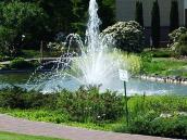 Фонтан у ставку (3)