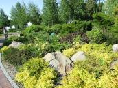 Альпійська гірка на березі ставка (7)