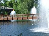 Міст до будинку (8)