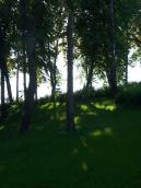 Схил до алеї (20)