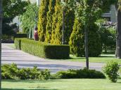 Алея перед корпусом 4