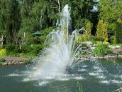 Фонтан у ставку 3