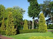 Алея перед корпусом 4 (2)