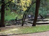 2019 р. Каскад