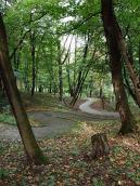 2019 р. Серпантин від головної алеї в…