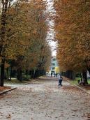 2019 р. Перспектива кінця головної алеї