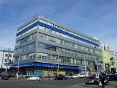 2020 р. Загальний вигляд з півдня