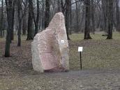 Камінь 1 з пам’ятним зображенням