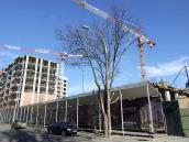 2021 р. Паркан двора (?). Вигляд із…