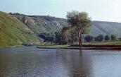 1978 р. Вид ріки Збруч біля замку…