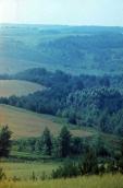 1985 р. Краєвид по дорозі від Тулинець…