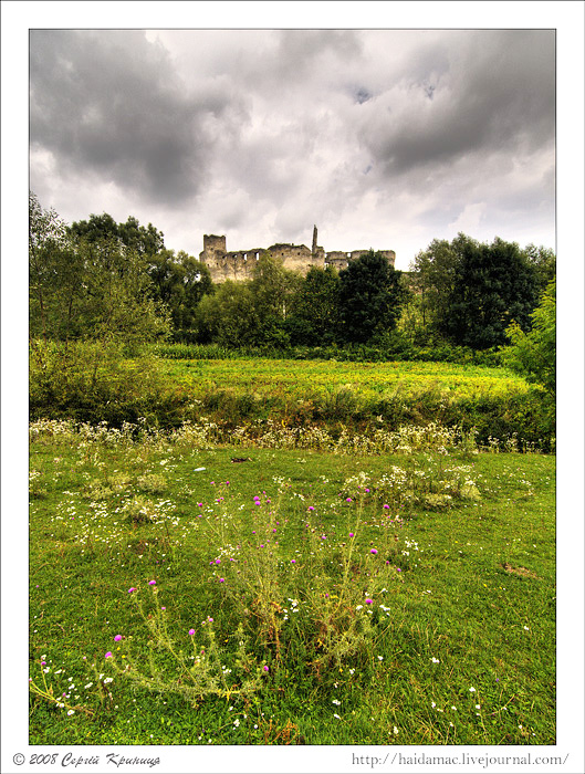 2008 р. Загальний вигляд з південного…