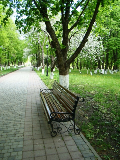 Головна алея