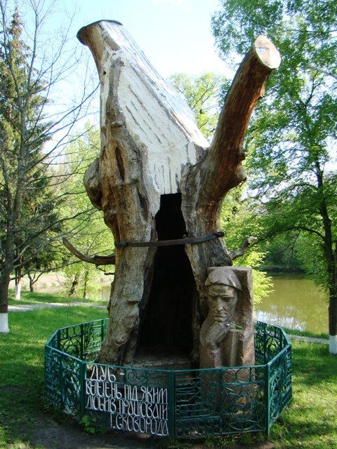 Залишки дубу Г.С.Сковороди