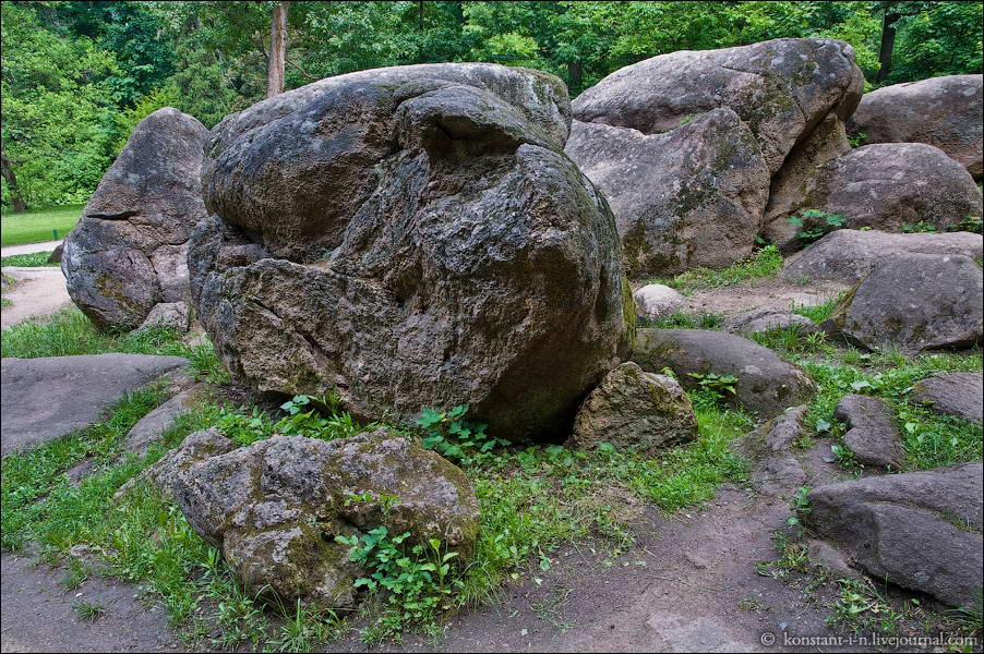 2010 р. Фрагмент