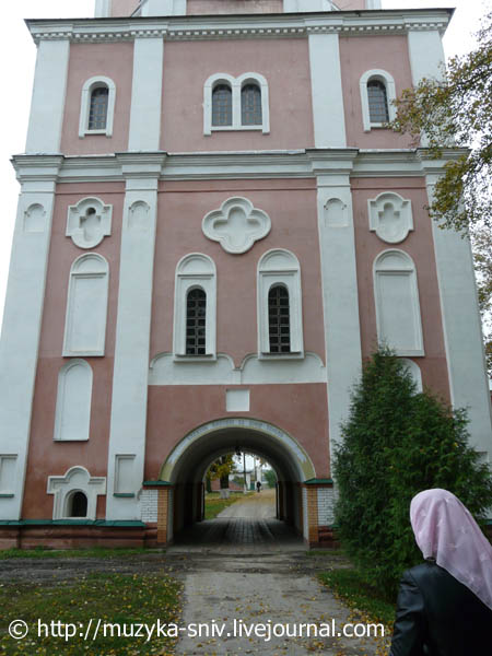 2008 р. Нижні яруси. 2009 р. Вигляд з…