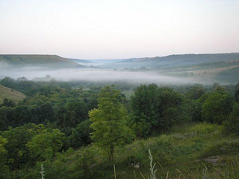 Вранці над річкою стелиться туман