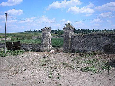 На старовинній площі Форум гуляють свині