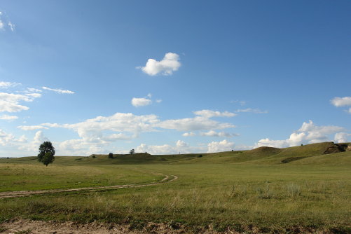 Більське городище